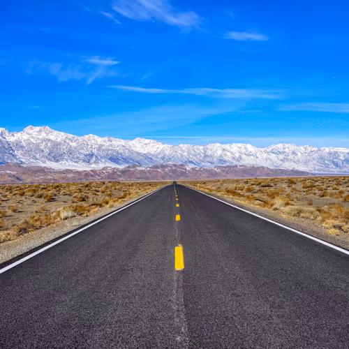 Untitled Collection #72327212