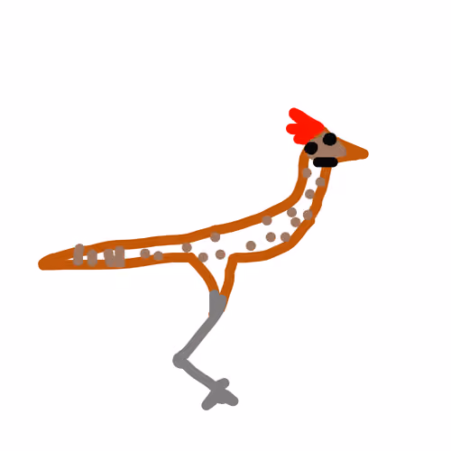 Roadrunner