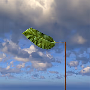 Item #108271561219410126438885171798473668351763019664133280601583571516547108175873 Media