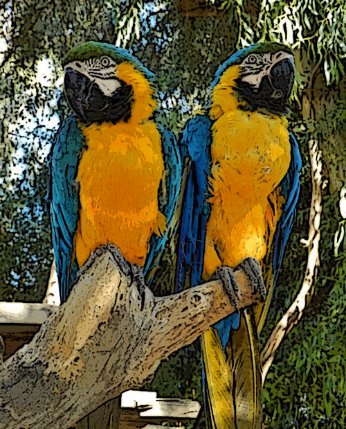 Item #95619151568614802974454947629602672965769746893472874508208249374707076300801 Media