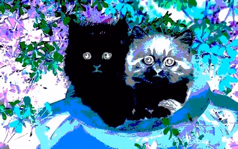 Item #23538819986925566434507765811444276093104658907602947149672917237154812264449 Media