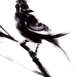 ิBird2