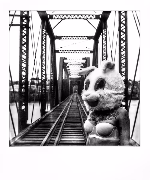 Item #10620290363906357168813205478457597742502191214056640616946314071042584215553 Media