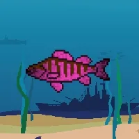Etherfishing
