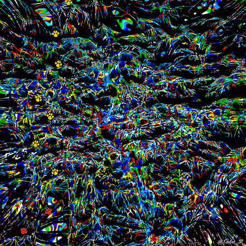 52596772328572645396799225155179162658789326659101193362598998526215757758465