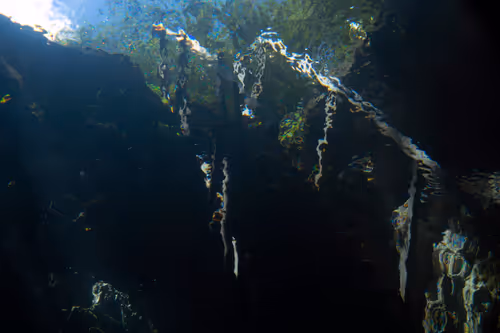 Item #25422583313571458459737529461820134862175223810011730482418987938736676798465 Media