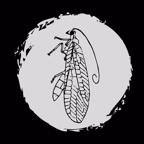 Item #79067907305230177002014129353343413869651970885450883453575323035153431789569 Media