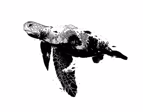 Item #63928277069333023758072606313318946969695348667713168029701733596579793731594 Media