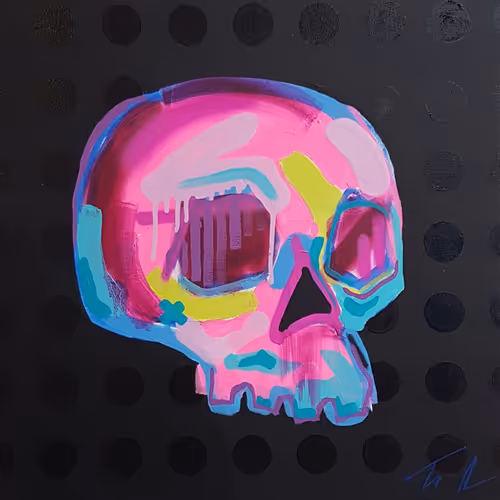 Memento Mori 100 Skulls By Tim Fowler
