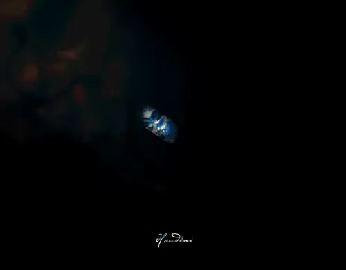 Item #15991721138623282493678226045180868907257512691314100565510471588242251579393 Media