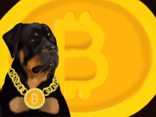 Item #91689843230696245992439202350247333357783521144544667404119791365919397117953 Media