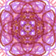 77233426773419589753287526850627918539695595278018771870090048603777826553857