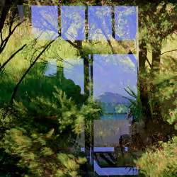Window Love - Beach bach bush