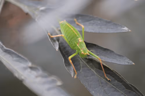 51124555051901614330264480006545612592022390906904121289505624553612631867393