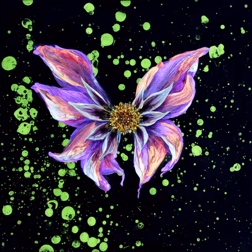 Item #31878015786887625449379653420806268900262982390960709769222713669584441835521 Media