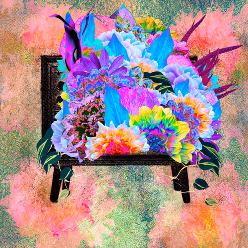 Item #48492224125278853539213911528912924610870321163069310956764398816716644155393 Media