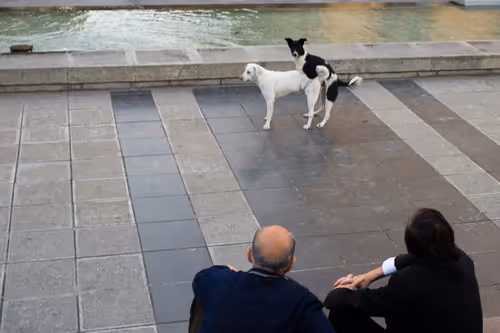 Item #8293050977498067439738640211663030445621008093446820664285481087773993598977 Media