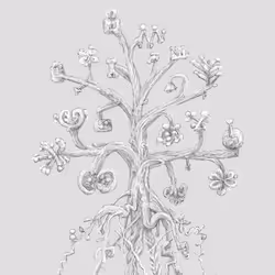 76185835186482823673292074310824053321460322751592681721905994474859823890433