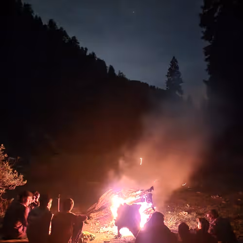 Untitled Collection #193364844