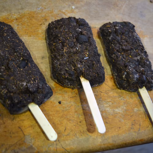 3 Poopsicles
