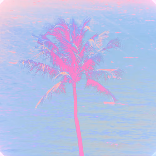 Hella Palms #1