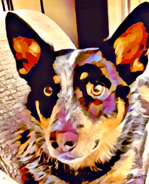 Item #100912189096696144949180120692345760590440403347893883972252148254864773742593 Media