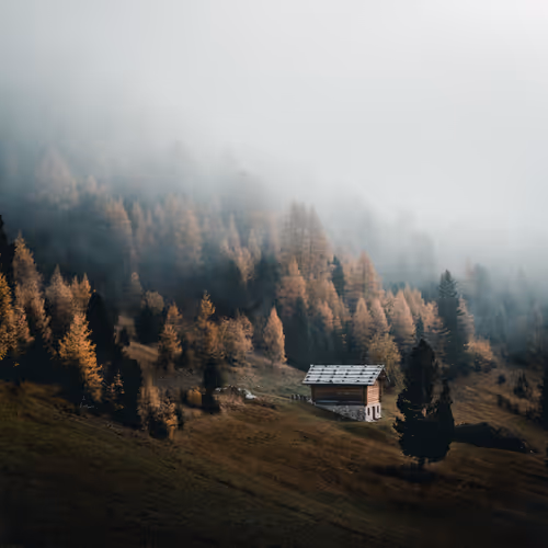 Item #31136089836063179787233094372274139047618687225342038031814341714262594945025 Media