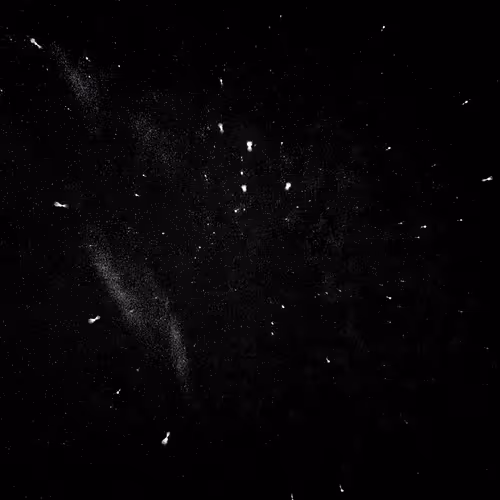 NarcCrypto Collection