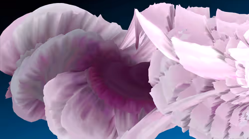 Item #112253904619107644579812786056999909285910166326694002733260232208995397402625 Media