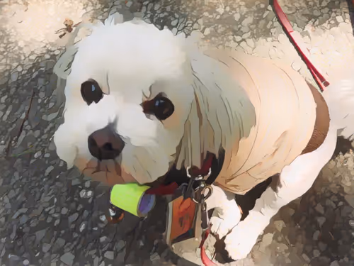 Item #77052505598165244899095024479362699104293818511547144643565264934857340878849 Media