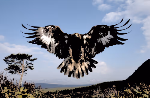 Item #32280227684796633281509489685107784796052920964773961429317660099196267528193 Media