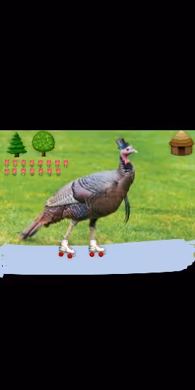 Item #95244940339513320199862715608852117206742312941825269634371129047497855467521 Media