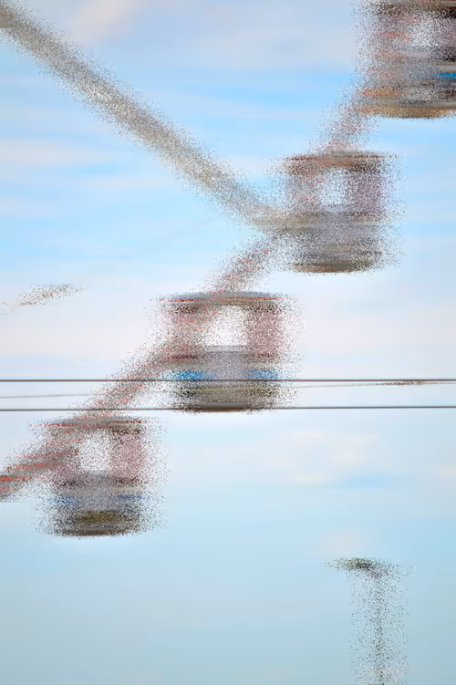 Item #59576328445515739195370463517353860911468436894088720640490489308362469015553 Media