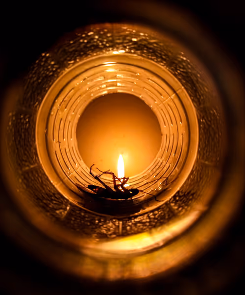 Item #69785723640001619757607758750255893339862372780250443418750514882891030200321 Media