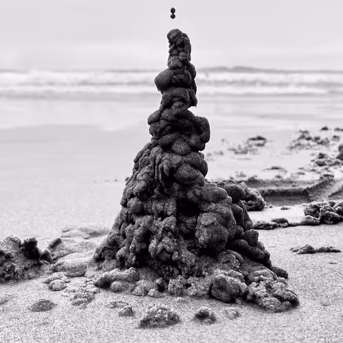 fishfirst Collection