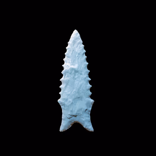 73012537247702807532369324926658446839130533184421937656810479185627466170369