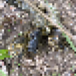 2850415134272365380187775685678842410458265265709128331682257543659165581313