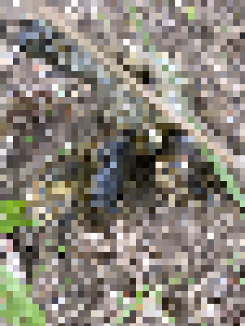 Item #2850415134272365380187775685678842410458265265709128331682257543659165581313 Media