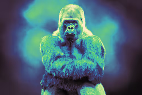 Item #37771705042607633984215485442696248406020579018981637919666644984821725528065 Media