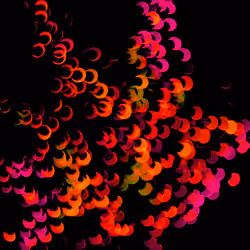 Magic #052