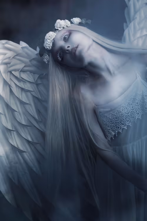 Item #2833582623642910469121771624428966135564868096884575278303833494613634580481 Media