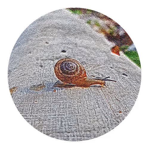 Item #73474911565276893363269127585336255498112534630235322163062143224986241859585 Media