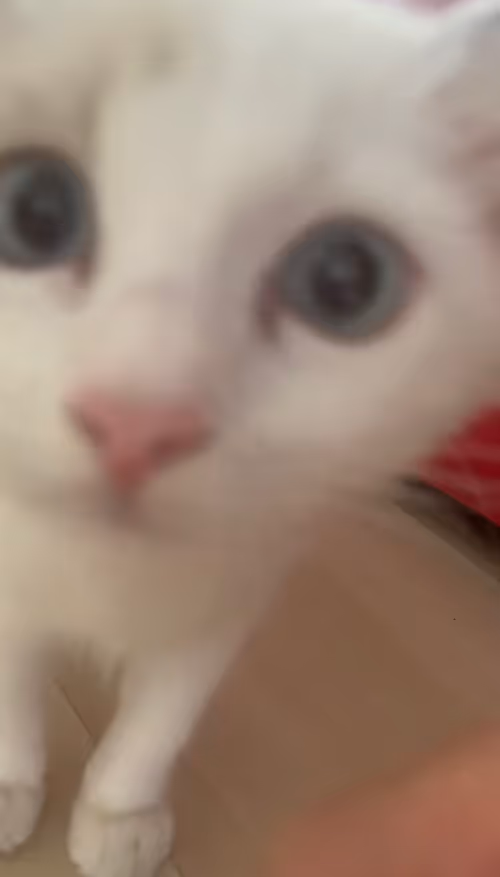 Item #8665727759412748155226687366651350766252383331957132606779190039725438140417 Media