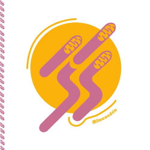 Item #28217420329942861487200254143315689988869562790284857015817128399696136503297 Media