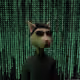 71375443854019122684592276732989152429101823250722399437985301803981047070721