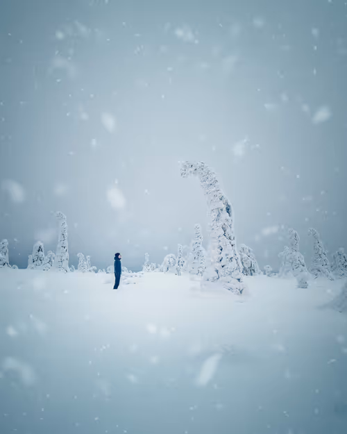 Item #8011610006664859367402305355842719032059170831257207817958501179614654627841 Media