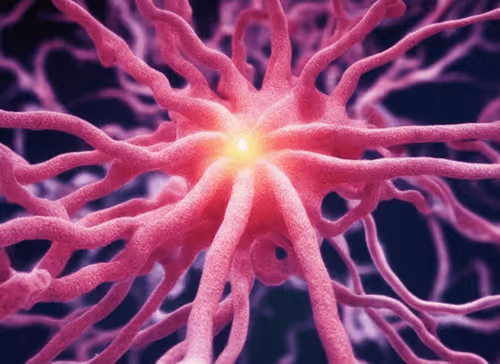 Item #98695163844141812296559601516468632585703412525772017875852753322035531218945 Media