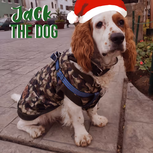 Item #100330838778373922711326343520259277035674634715588971460444289893947379023873 Media