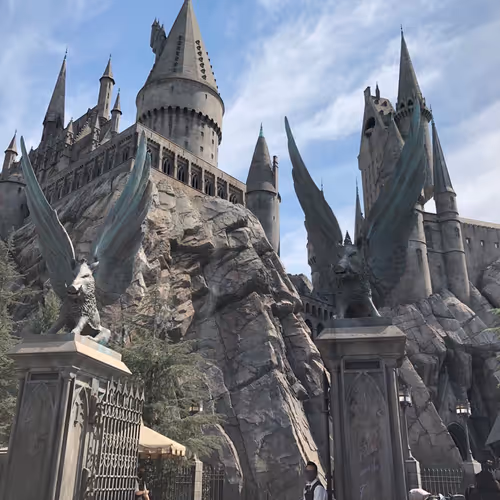 Untitled Collection #11570963