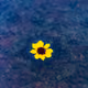 30985419060957023672606833204645685316652492575224970316942919810619006779393